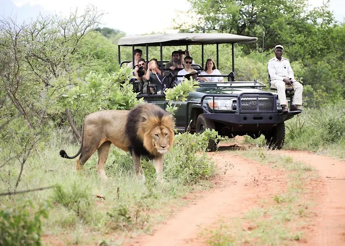 Karongwe Portfolio - Chisomo Safari Camp
