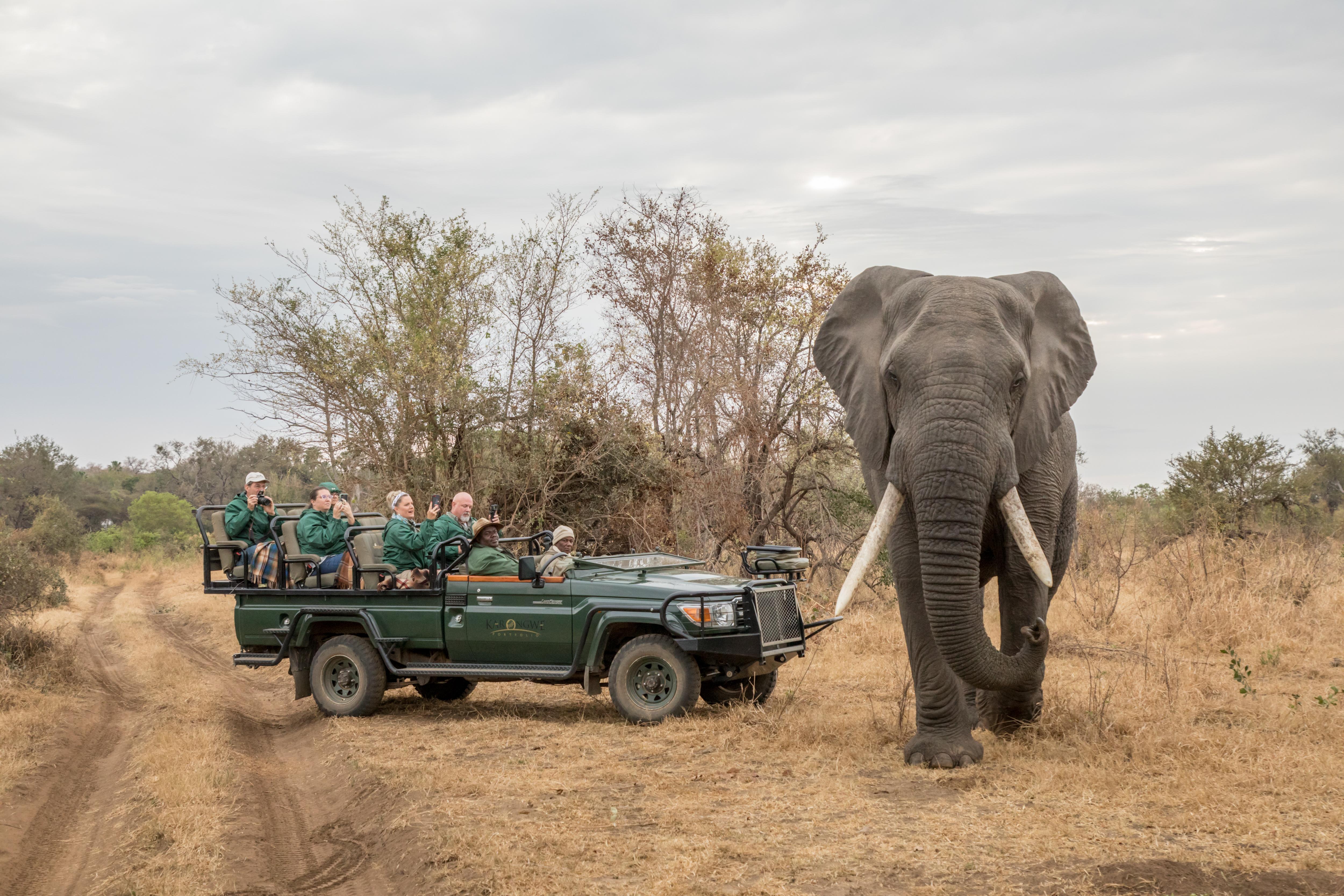 Karongwe Portfolio - Chisomo Safari Camp Luxe tent 4*