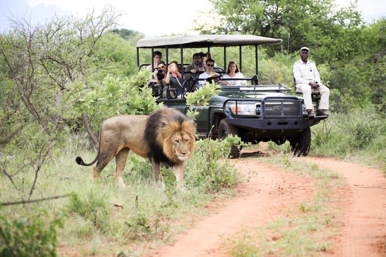 Luxe tent Karongwe Portfolio - Chisomo Safari Camp