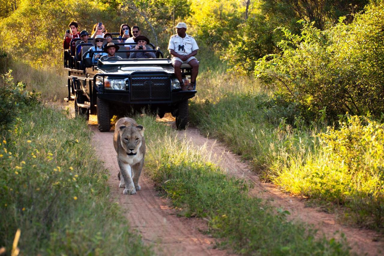 Karongwe Portfolio - Chisomo Safari Camp Luxe tent
