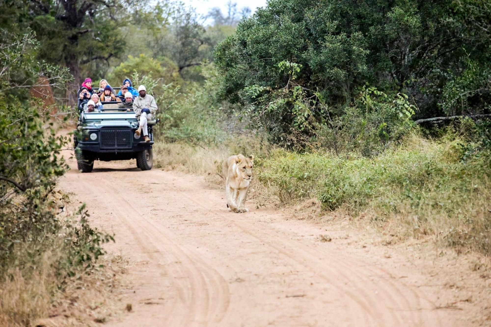 Karongwe Portfolio - Chisomo Safari Camp Luxe tent 4*