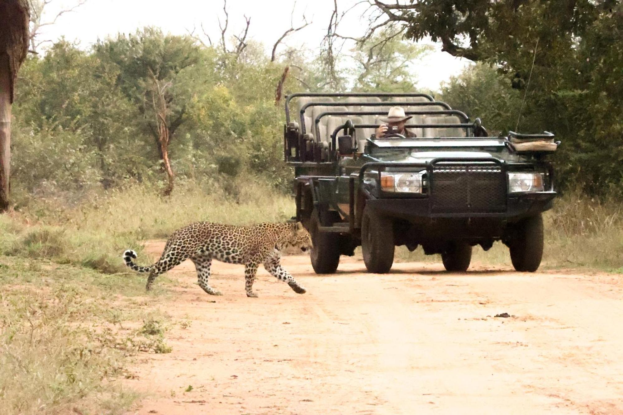 Karongwe Portfolio - Chisomo Safari Camp Luxe tent 4*