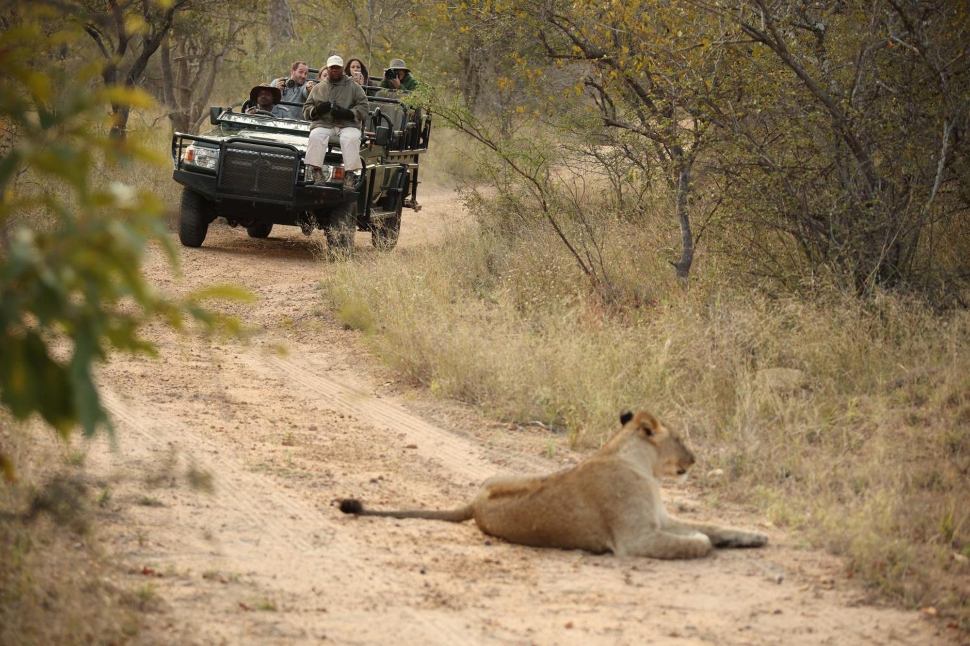 Karongwe Portfolio - Chisomo Safari Camp Karongwe Game Reserve